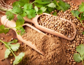 El cilantro, la hierba que cuida tu salud y realza tus platos