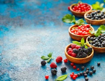 antioxidantes,longevidad celular